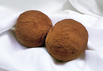 Mochi cioccolato
