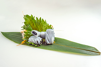 Sashimi calamaro